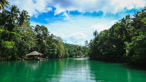 Indigenous Tribes of Bohol: Traditions on the Edge of Modernity