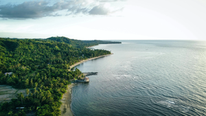 Transformational Travel: Spiritual Retreats in Palawan for Mindful Expats