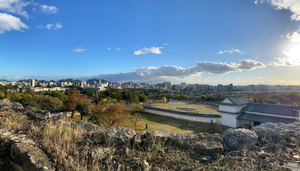 Culinary Flavors of the Forest: Wild Herbs and Mushrooms of Himeji