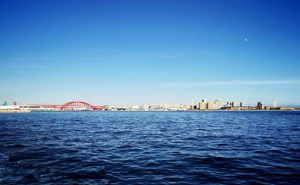 Boutique Adventures: Tailored Scuba Diving Trips in Japan's Waters