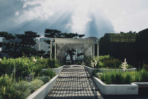 Lush Seoul Retreats to Shoot: Eco-Friendly Photography Tips and Locations