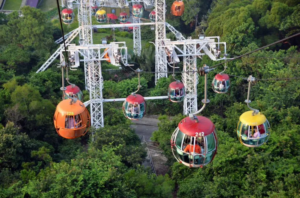 Hong Kong's Ocean Park: A Family-Friendly Theme Park