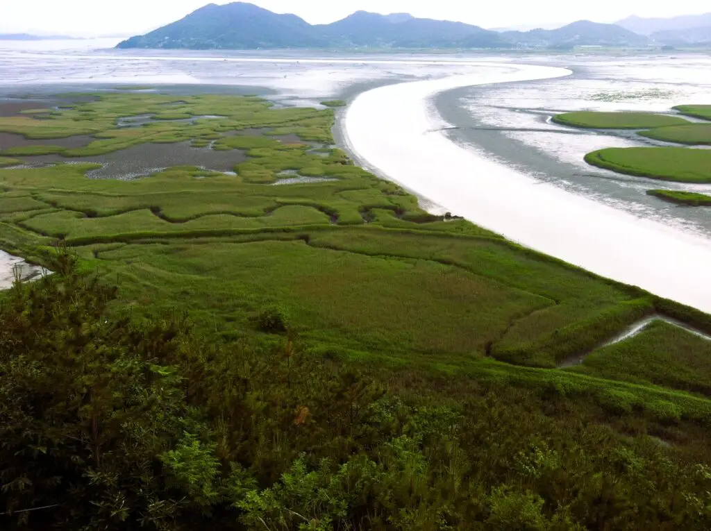 Suncheon: The Eco-City with Beautiful Gardens and Wetlands