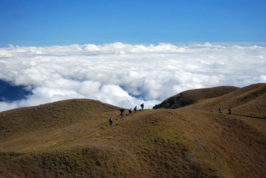 Exploring the Breathtaking Views of Mount Pulag