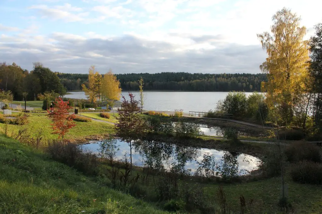 A Wildlife Holiday in Sweden: On the Trail of Bears