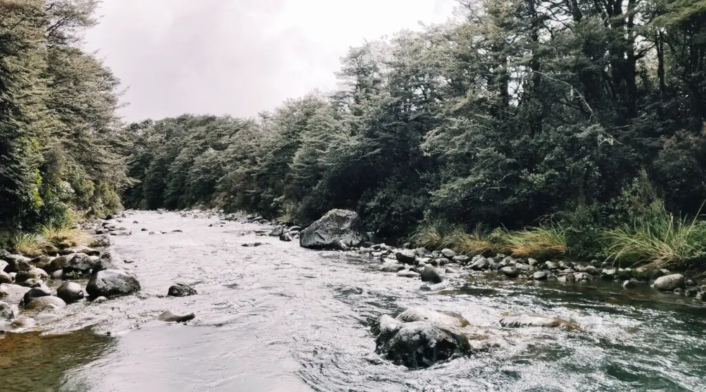 Tongariro National Park - Things to Do in New Zealand