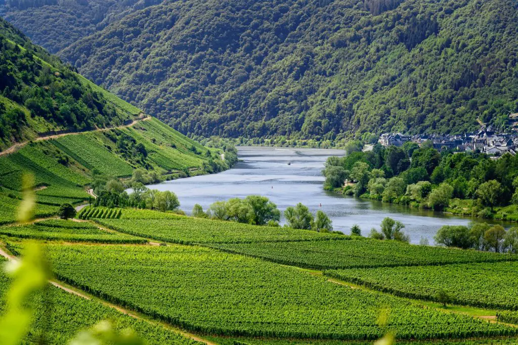 Germany Wine Regions: Exploring the Rich Diversity of German Viticulture