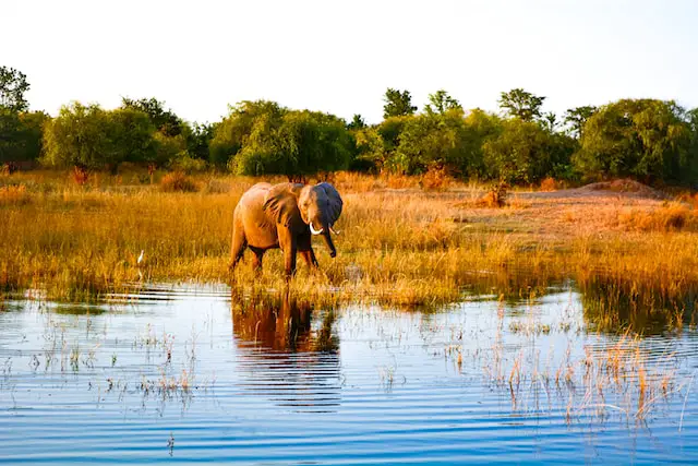 Zimbabwe Tourist Destinations for Magnificent Holiday Tour