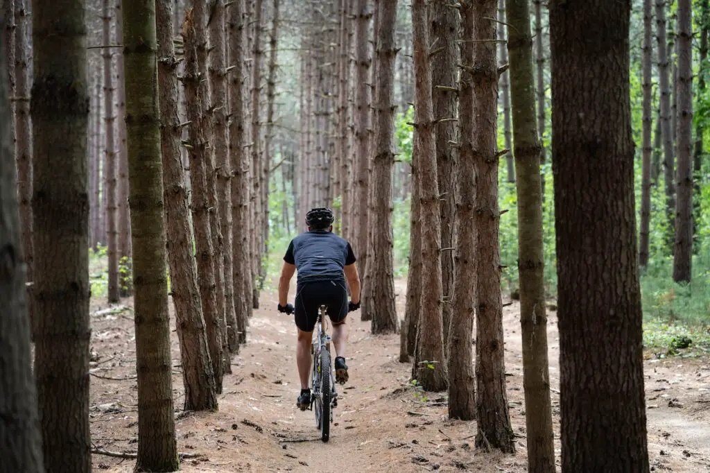 Cycling New Zealand - Another Round of Fun