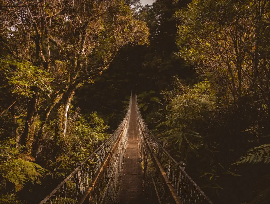 New Zealand's Abel Tasman Park: Finding Peace