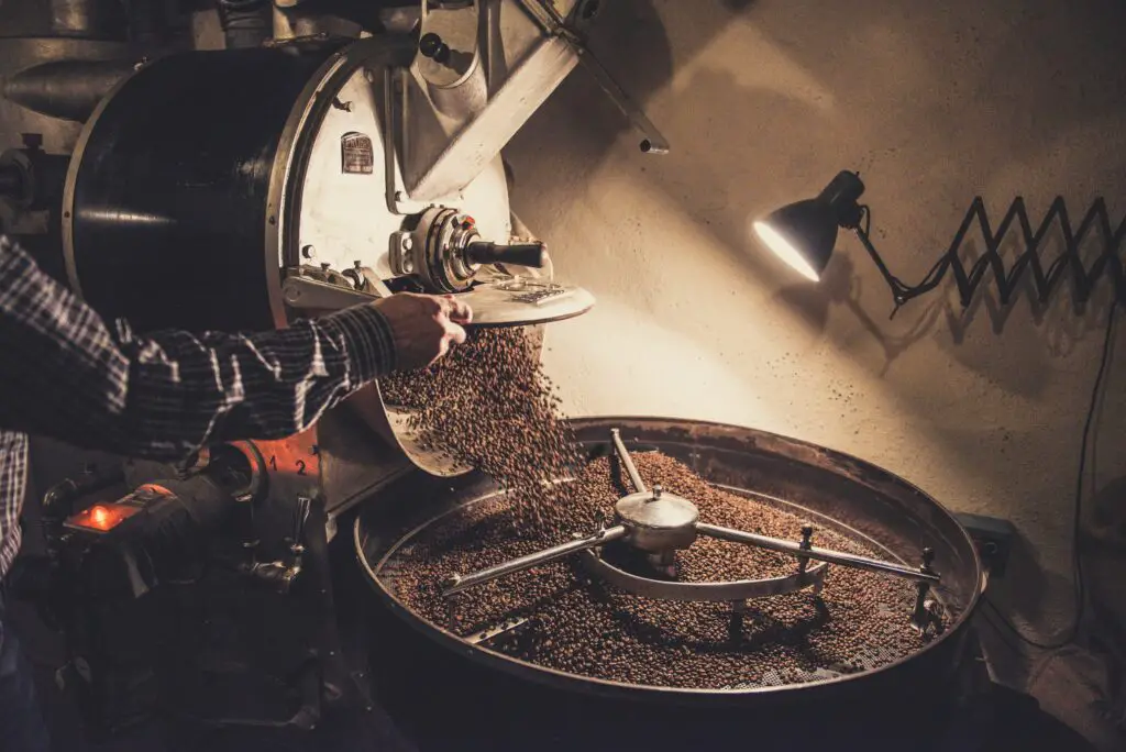 Visit the Philippines' Coffee Farms to Experience Filipino Coffee Culture