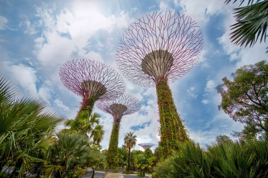 Gardens by the Bay: Fun-Filled Adventures Await!