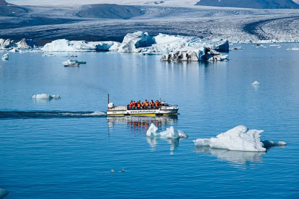 Diving in New Zealand in Winter