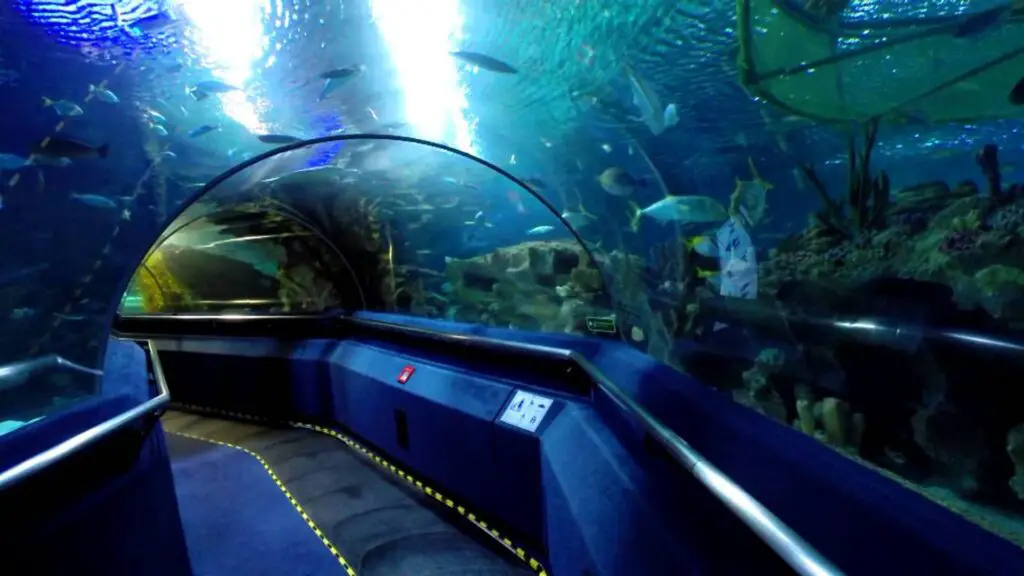 Kuala Lumpur's World-Class Aquarium