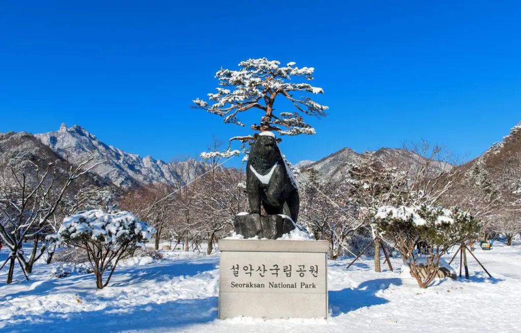 Sokcho: Gateway to Seoraksan National Park and Beachside Relaxation