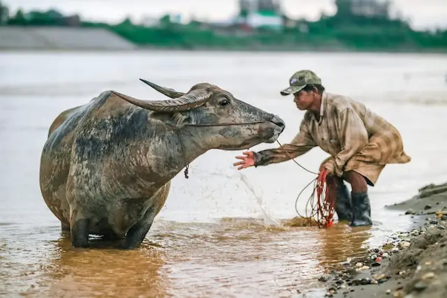 A Guide to Visiting Laos: Discovering its Charm