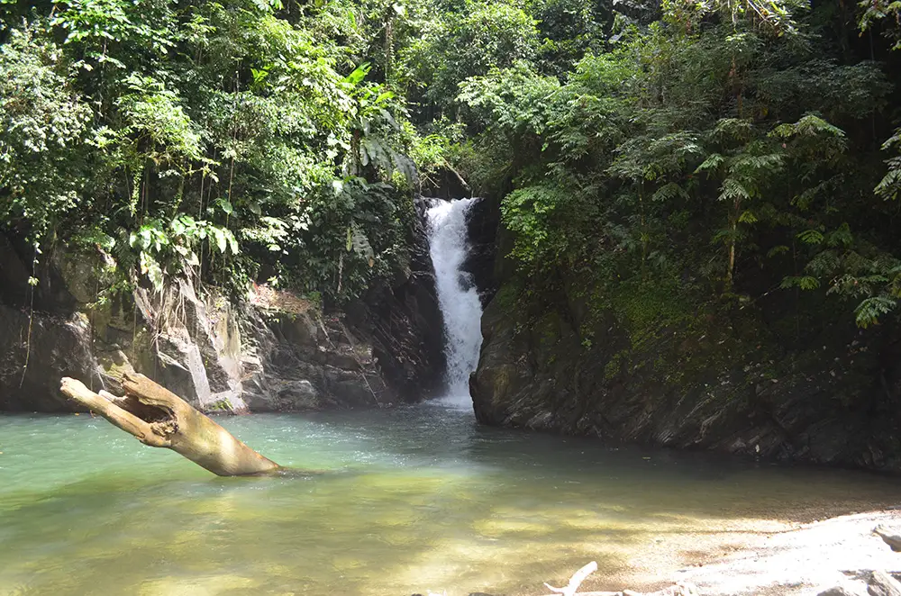 The Top 5 Eco Tours in Trinidad