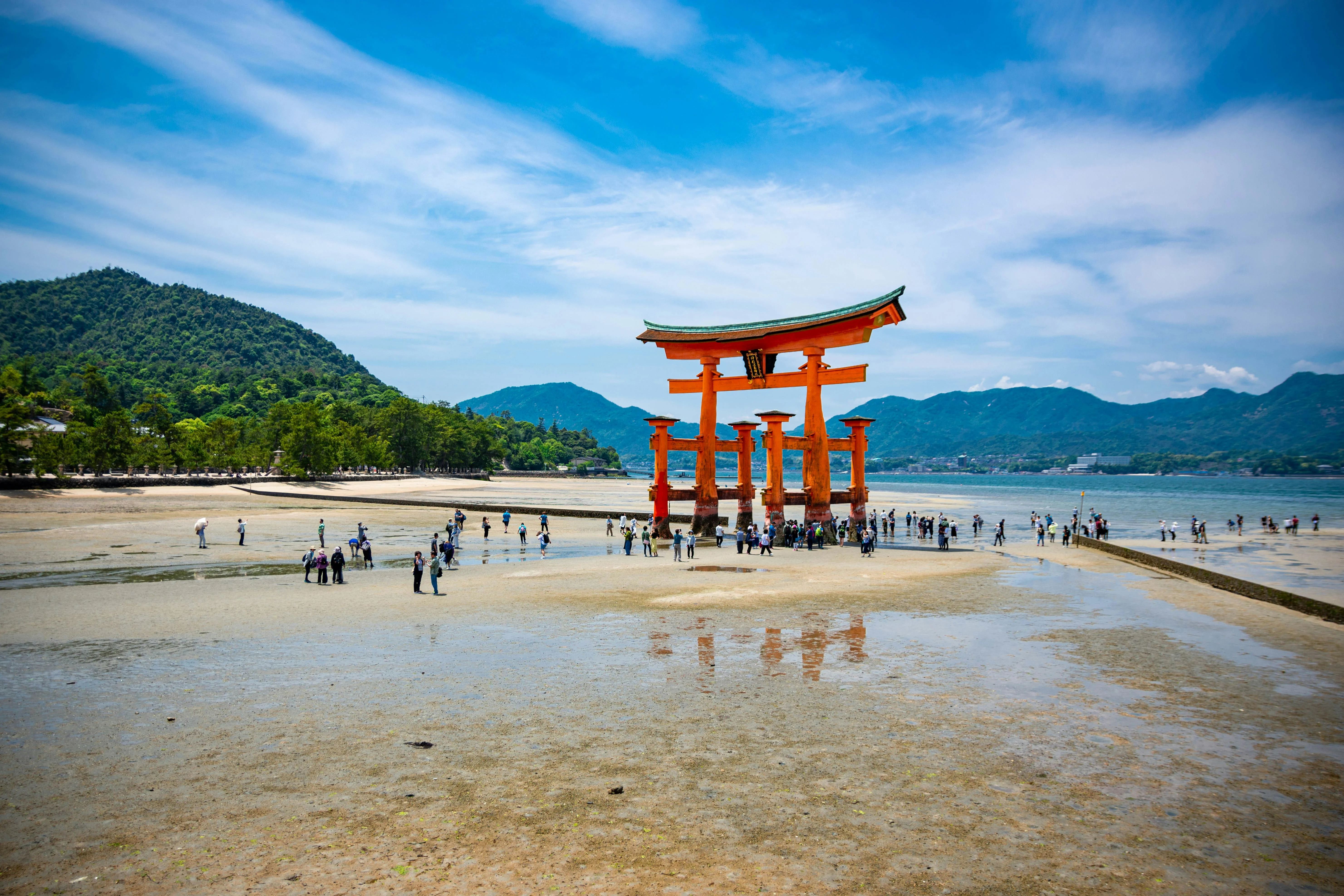 The Enchanted Forests: Exploring Wildlife Sanctuaries Near Hiroshima Image 1
