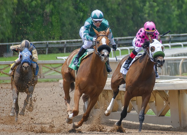 The Evolution of Horse Racing in North America