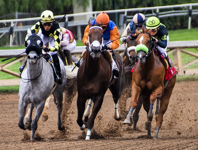 The Evolution of Horse Racing in North America