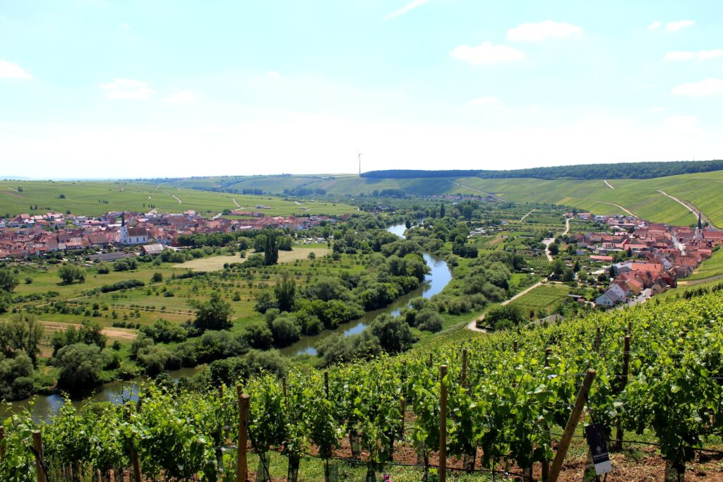 Germany Wine Regions: Exploring the Rich Diversity of German Viticulture