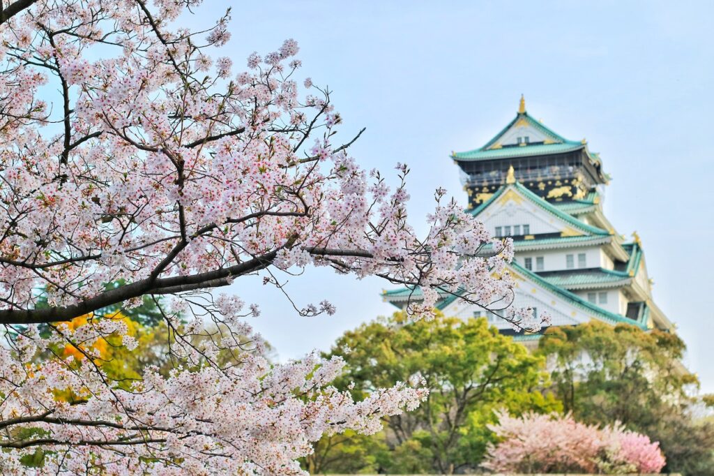 Exploring the Exquisite Charms: 5 Must-Do Things in Tokyo, Japan