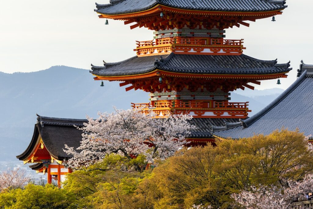 Exploring the Exquisite Charms: 5 Must-Do Things in Tokyo, Japan
