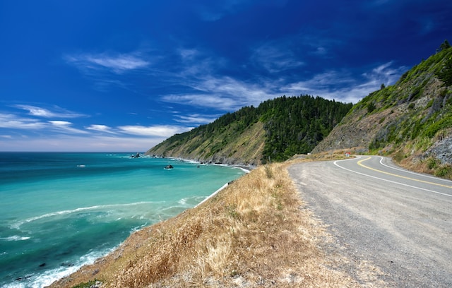 North America's Coastal Gem: The Mesmerizing Beauty of the Seashores