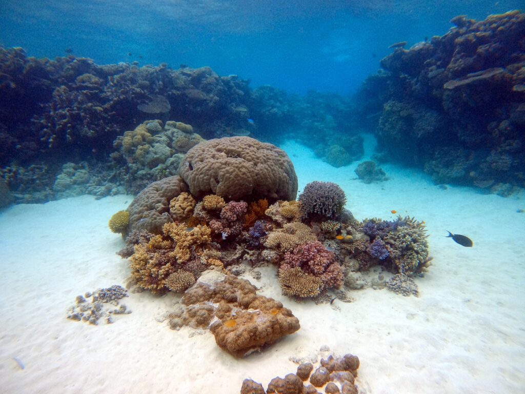 Enjoy a Great Barrier Reef Holiday