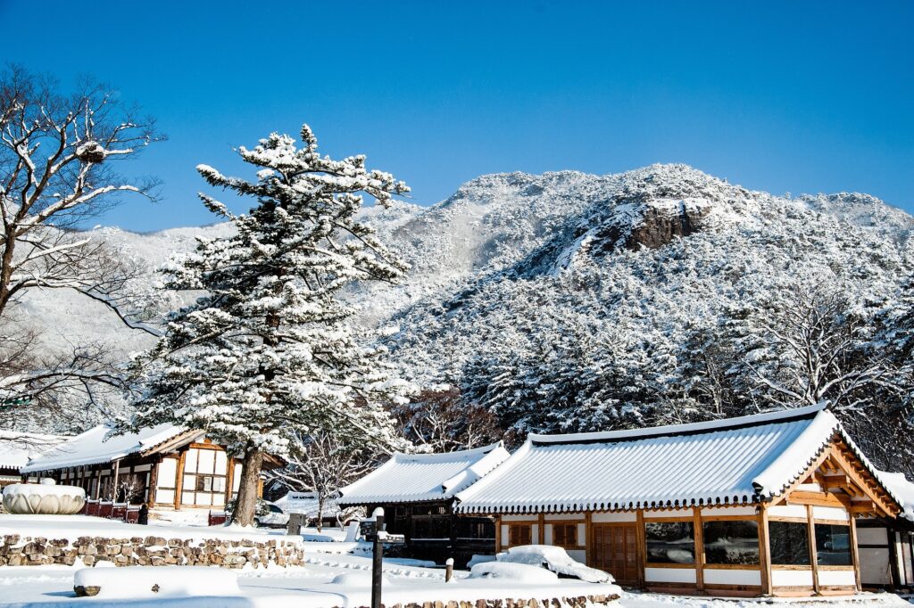 Gangneung: South Korea's Winter Sports Destination
