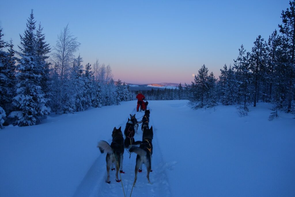 Sweden Snowmobile Trips - Enjoy the Northern Lights