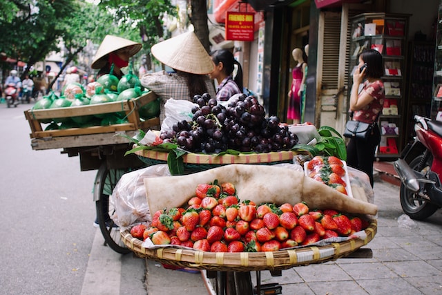 A Journey of Adventure, Culture, and Culinary Delights in Vietnam