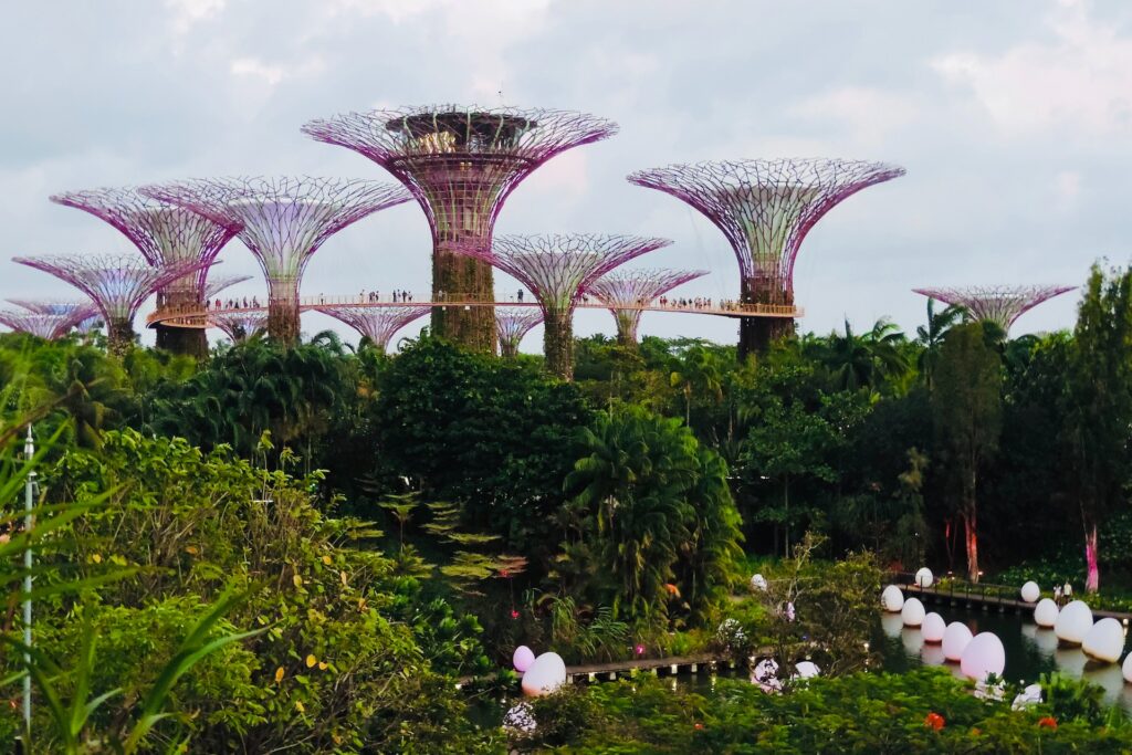 Why Visit Marina Bay Sands and Garden by the Bay