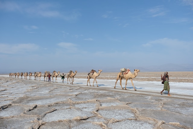 Exploring the Rich Tapestry of Ethiopia: Top Attractions to Discover