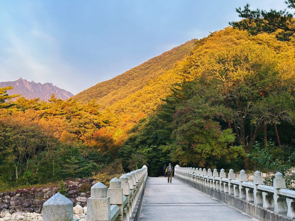 Hiking in Korea: Trekking Through National Parks and Mountains
