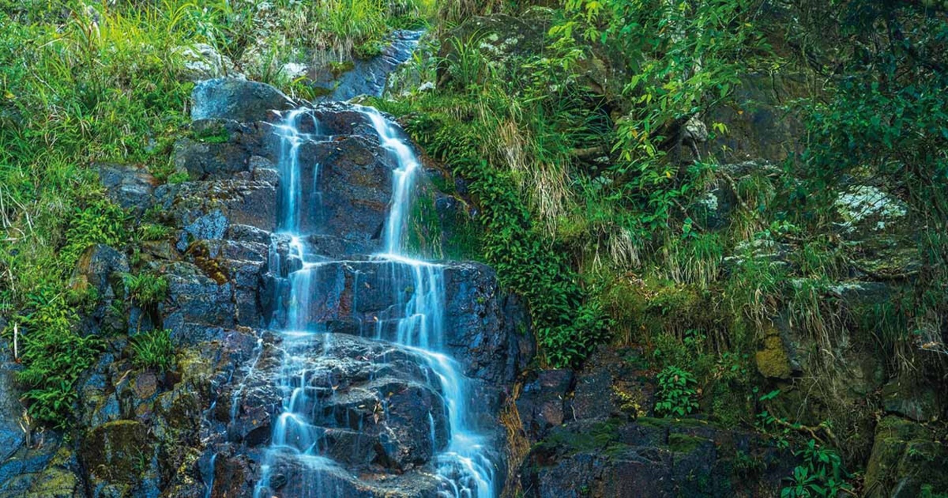 Hiking Tai Mo Shan Mountain and Cooling Off at Ng Tung Chai Waterfalls