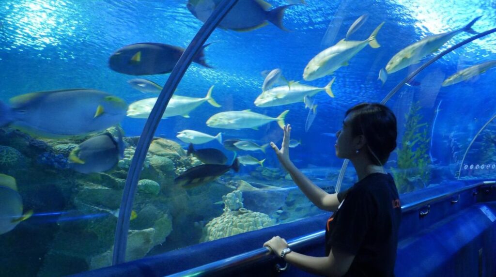 Kuala Lumpur's World-Class Aquarium
