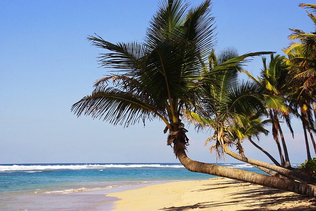 Incredible Adventures Await in the Dominican Republic!