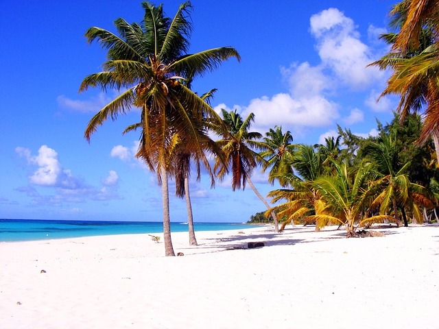 Must-Embark Dominican Adventures and Premier Attractions